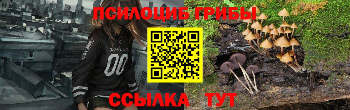 Галлюциногенные грибы мицелий Мелеуз